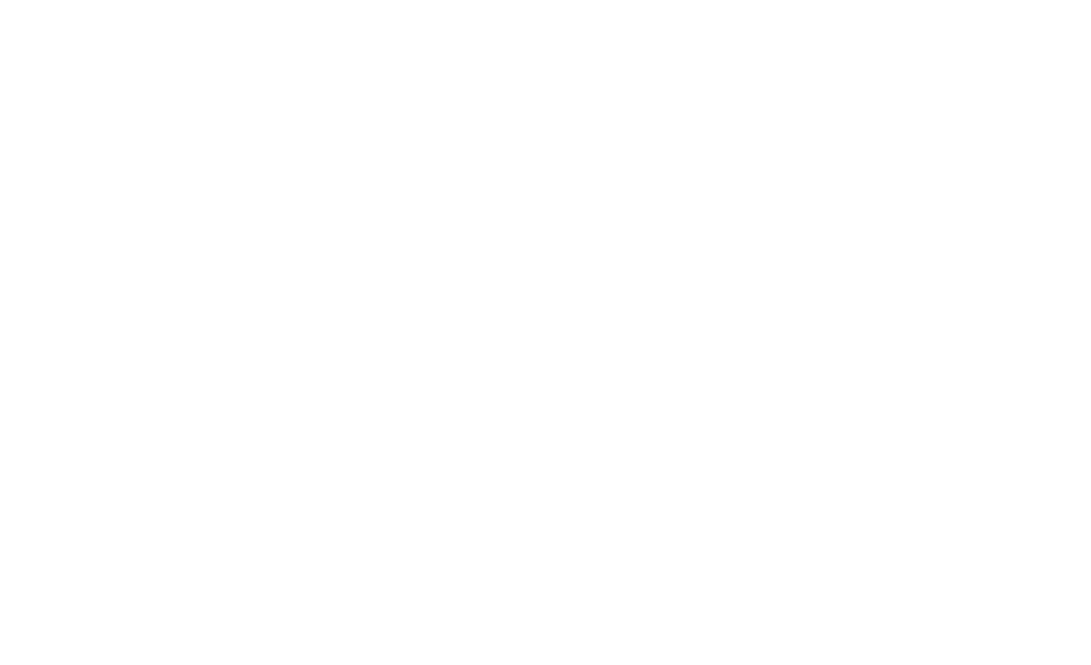 Vandervegtschilderwerken logo wit