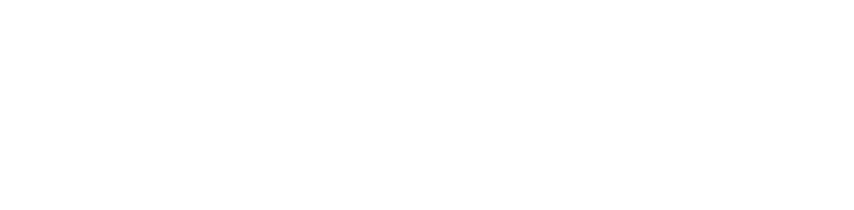 Vandijkgroothandelbv wit